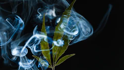Mj Smoke 175513134