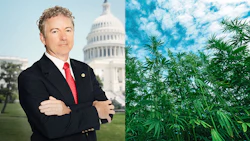 Rand Paul Portrait Merged