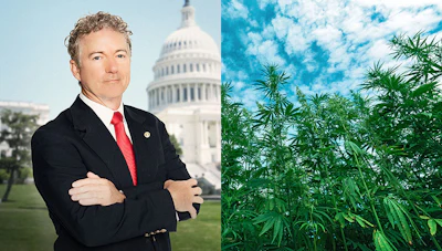 Rand Paul Portrait Merged