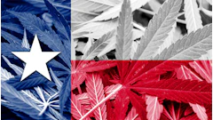 Texas Hemp 79492188