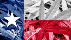 Texas Hemp 79492188