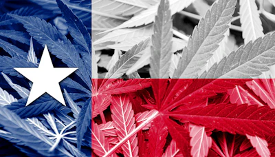 Texas Hemp 79492188