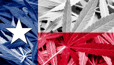 Texas Hemp 79492188