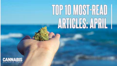 Top10 April 2026