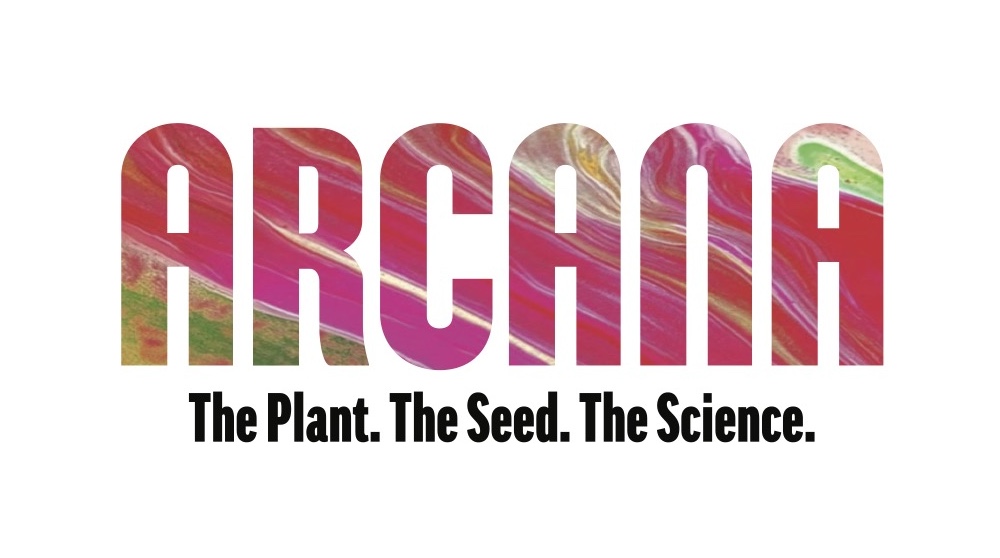Arcana collective Logo