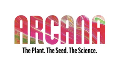 Arcana collective Logo