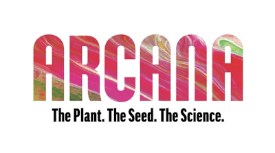 Arcana collective Logo