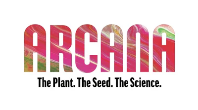 Arcana collective Logo