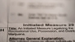 Au Ballot measure 1062366943