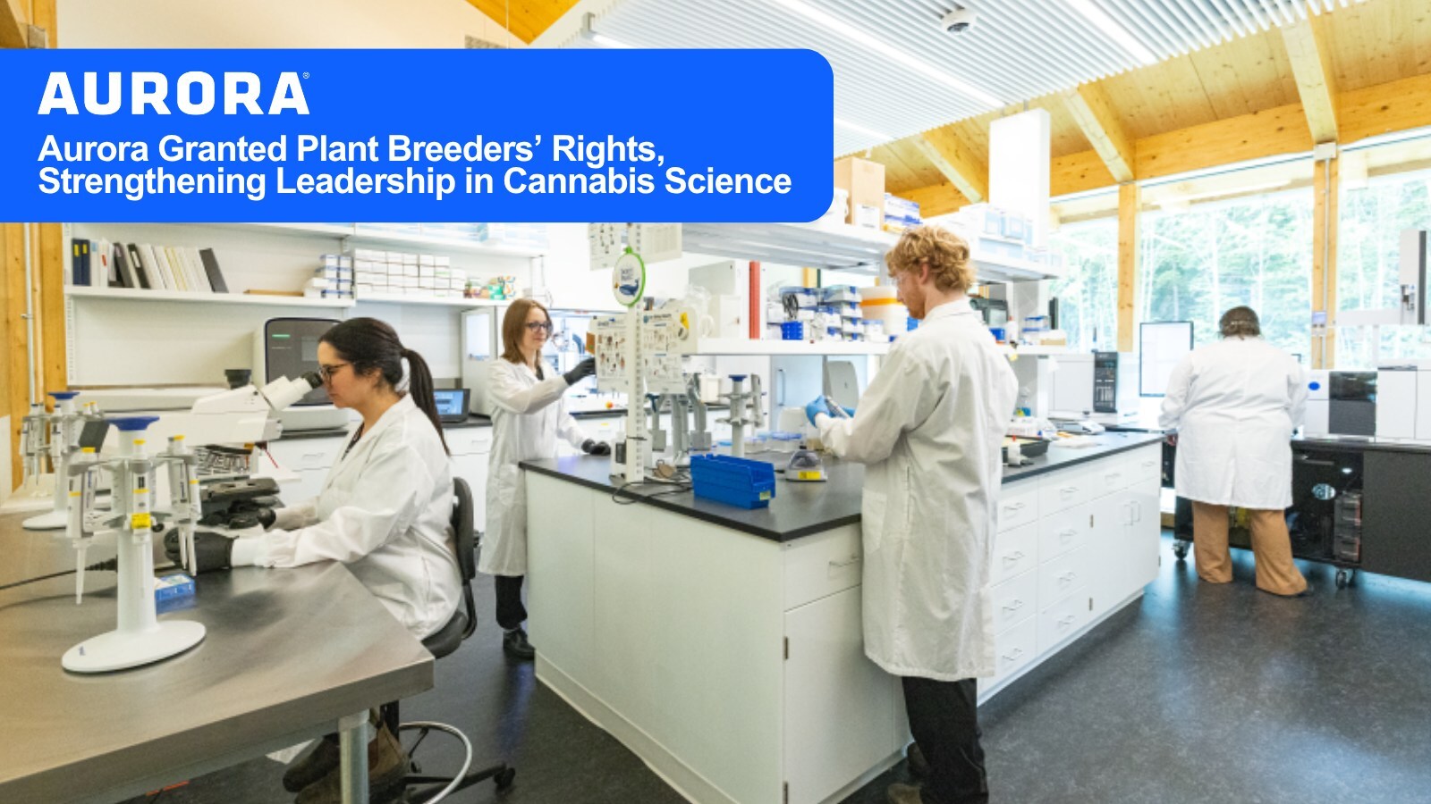 A Canadian grant protects Aurora‑developed genetics bred through the company&rsquo;s advanced research and breeding program.