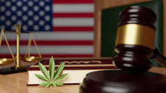 Cannabis Gavel 310460178