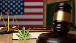 Cannabis Gavel 310460178