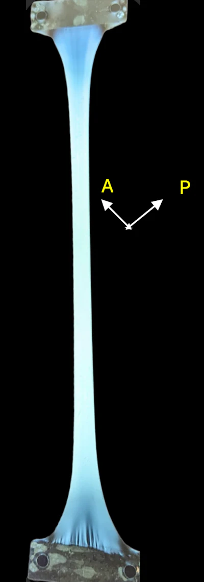 CBD polycarbonate films stretched under crossed polarizers (P = polarizer, A = Analyzer directions)