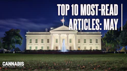 Top10 May 2026