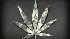 Canna House Money 280565869