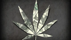 Canna House Money 280565869