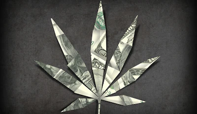 Canna House Money 280565869