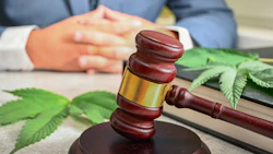 Cannabis Lawsuit 1661643602