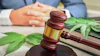Cannabis Lawsuit 1661643602