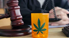 Canna hearing 1823580704