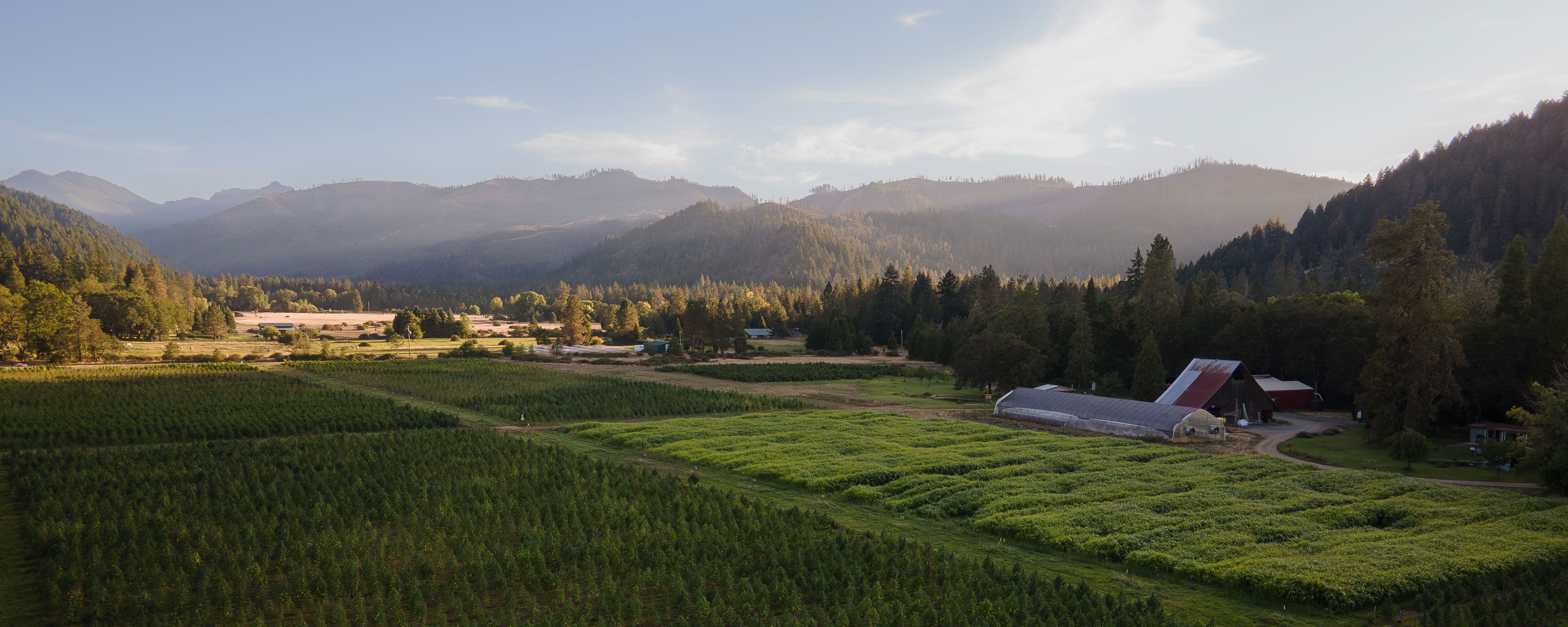 A landscape view of East Fork Cutivars' Oregon farm.