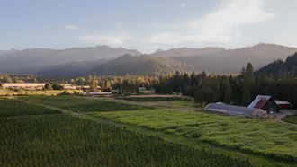A landscape view of East Fork Cutivars' Oregon farm.