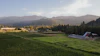 A landscape view of East Fork Cutivars' Oregon farm.