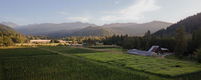 A landscape view of East Fork Cutivars' Oregon farm.
