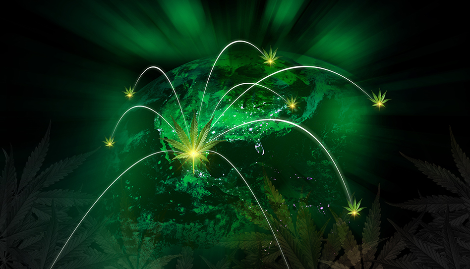 Global cannabis 269004937