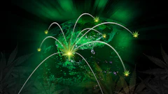 Global cannabis 269004937