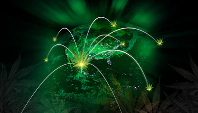 Global cannabis 269004937