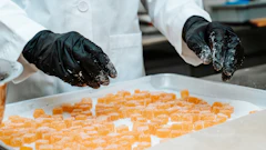 Melt To Make Edible Manufacturing 3