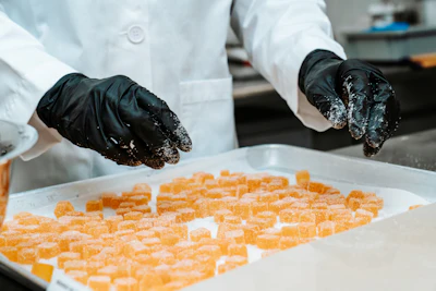 Melt To Make Edible Manufacturing 3