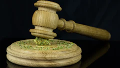 Mj Gavel 200627444