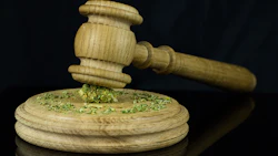 Mj Gavel 200627444