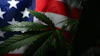 Us canna 618414605