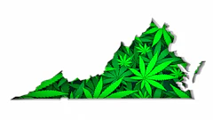 Virginia 2042053198