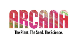 Arcana collective Logo