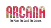 Arcana collective Logo