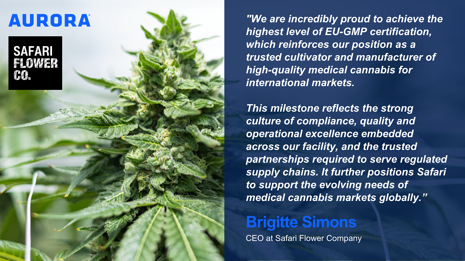 Aurora Cannabis Inc Safari Flower Company A Wholly Owned Subsi
