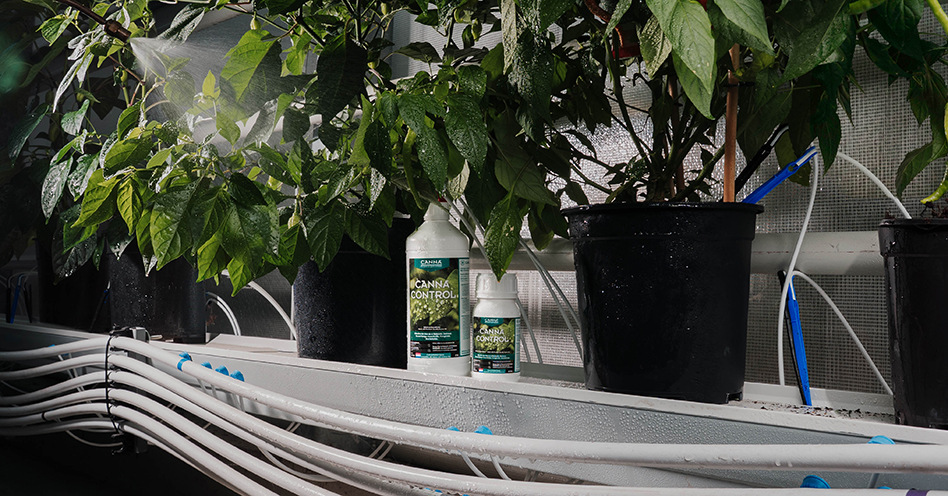 CANNA introduces CANNA Control&trade;, a ready-to-use foliar spray designed to help growers manage common soft bodied pests and pathogens while supporting healthy, vigorous plant growth.