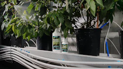 CANNA introduces CANNA Control™, a ready-to-use foliar spray designed to help growers manage common soft bodied pests and pathogens while supporting healthy, vigorous plant growth.