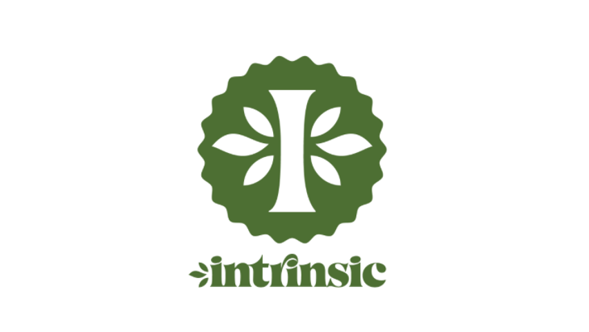 Intrinsic Logo