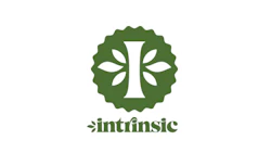 Intrinsic Logo