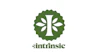 Intrinsic Logo