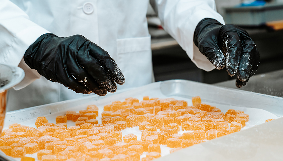 Melt To Make Edible Manufacturing 3