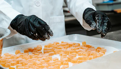 Melt To Make Edible Manufacturing 3
