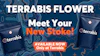 Terrabis Flower is now available, exclusively at Terrabis Missouri dispensary locations.