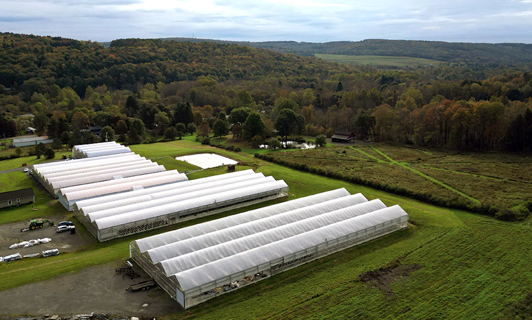 10 Lessons Learned From Adding Cannabis Cultivation to a Garden Center