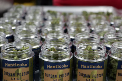 Nanticoke's quarter-ounce jars of Durban Poison flower processed in Endicott, N.Y.